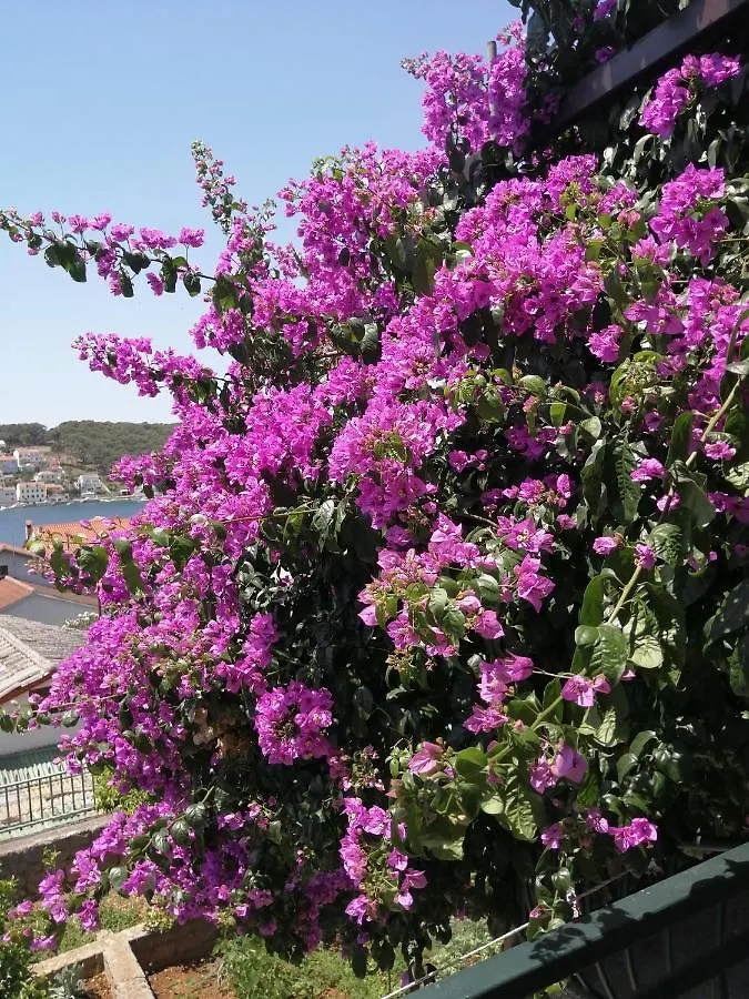 Fioretta Mali Lošinj 0*,