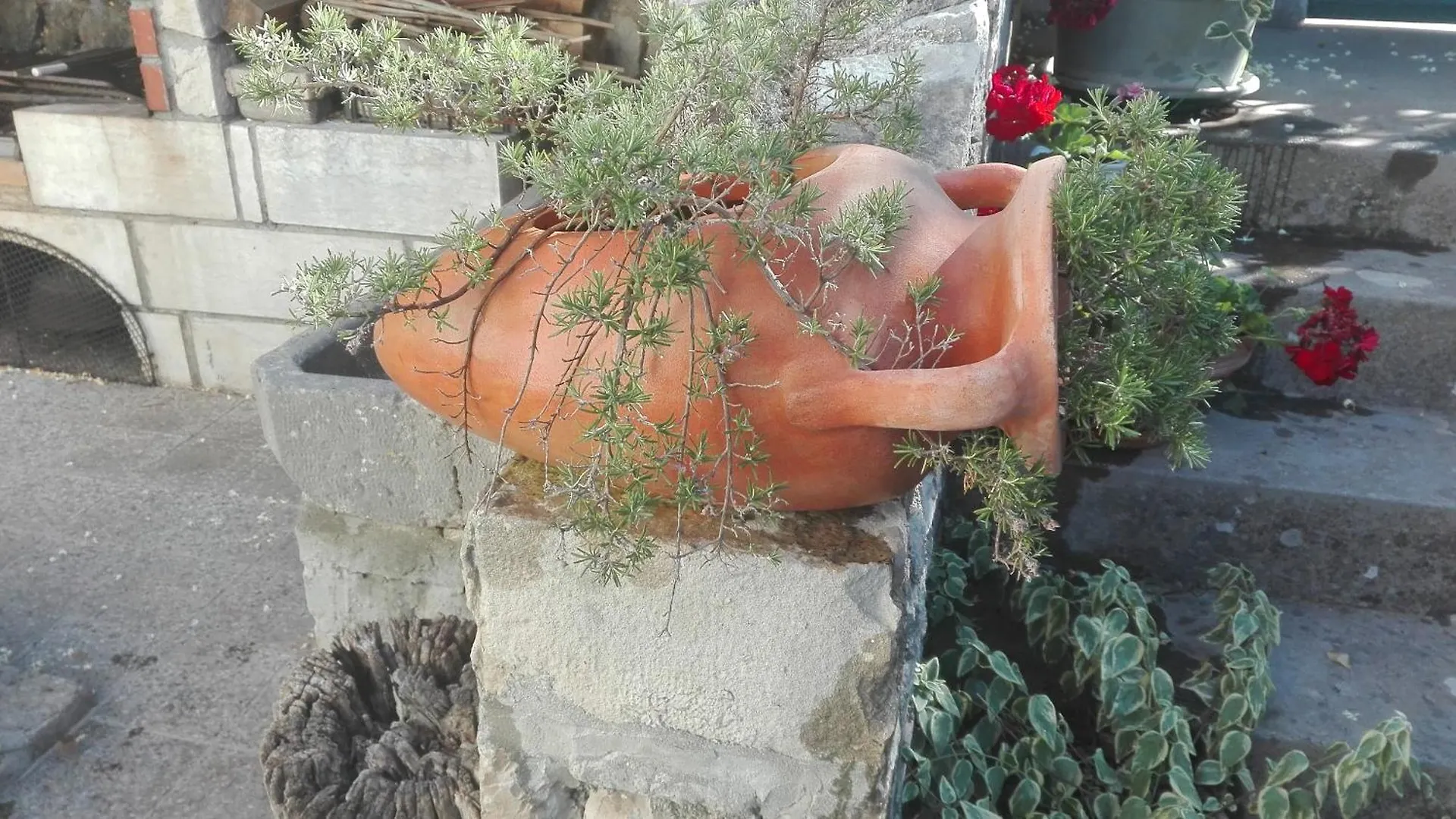 Fioretta Mali Lošinj